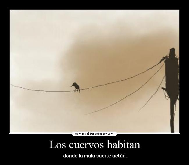 Los cuervos habitan -