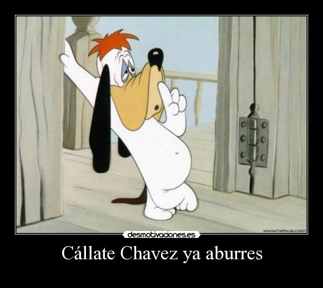 Cállate Chavez ya aburres - 