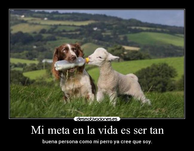 Mi meta en la vida es ser tan -