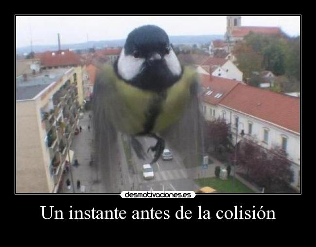 Un instante antes de la colisión -