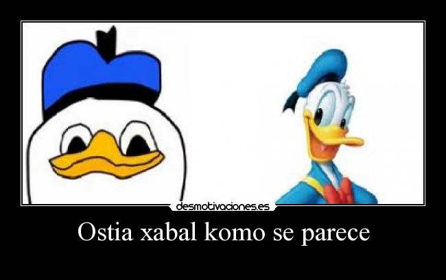 Ostia xabal komo se parece - 