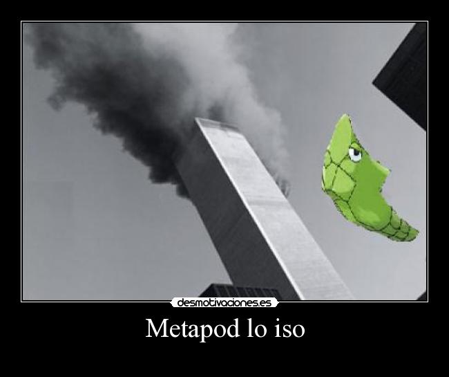 Metapod lo iso - 