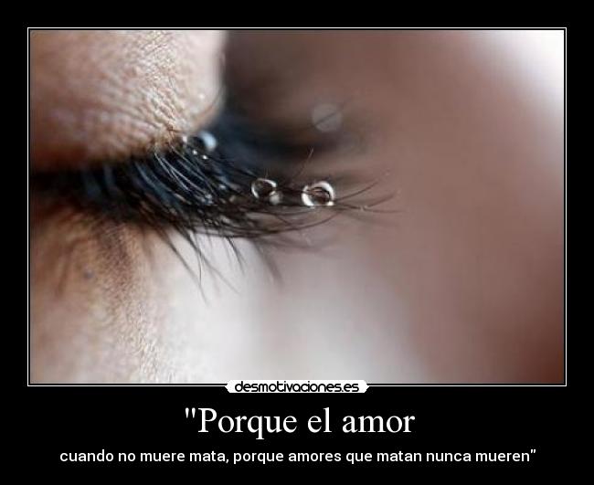 Porque el amor -