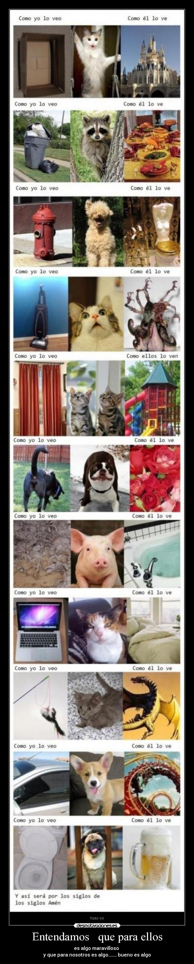 Entendamos que para ellos - es algo maravilloso
y que para nosotros es algo....... bueno es algo