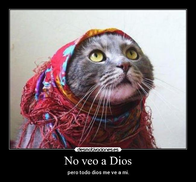 No veo a Dios - 