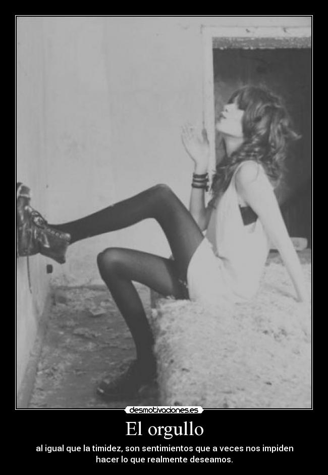 carteles mm93pe40 paulaaa19 desmotivaciones