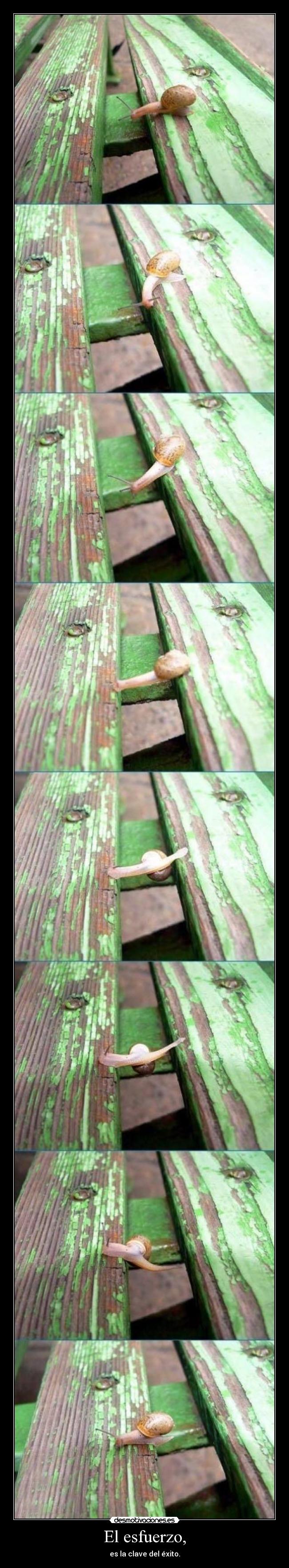 El esfuerzo, - 