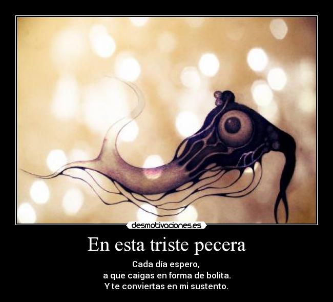 carteles janette kagamine meeeeewww nekov desmotivaciones