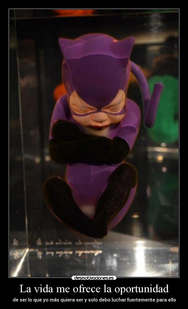 La vida me ofrece la oportunidad - de ser lo que yo más quiera ser y solo debo luchar fuertemente para ello