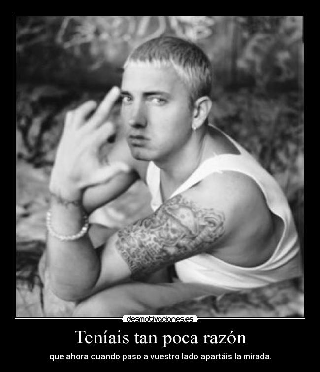 carteles deivod mvr desmo02 elgatoquenuncasupovivir eminem mola desmotivaciones