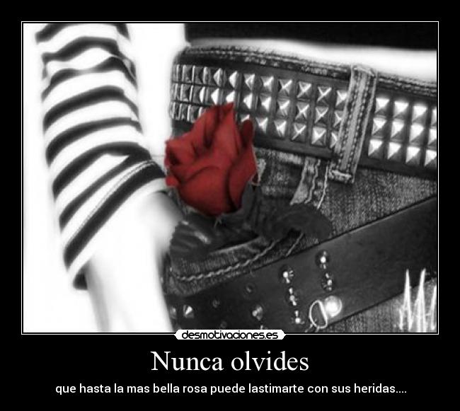 Nunca olvides -
