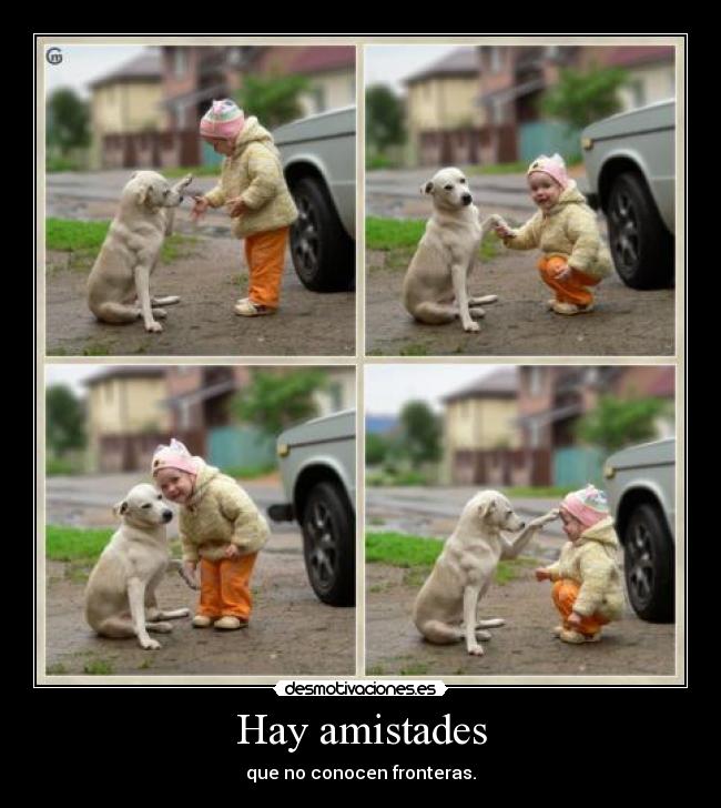 Hay amistades - que no conocen fronteras.