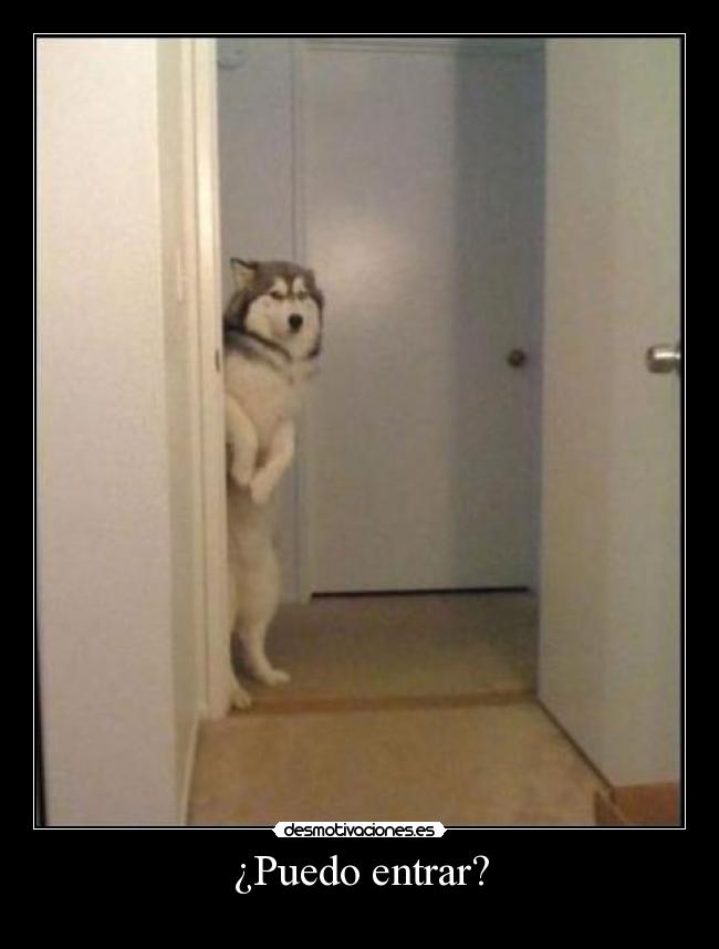 ¿Puedo entrar? -