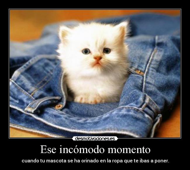 Ese incómodo momento -