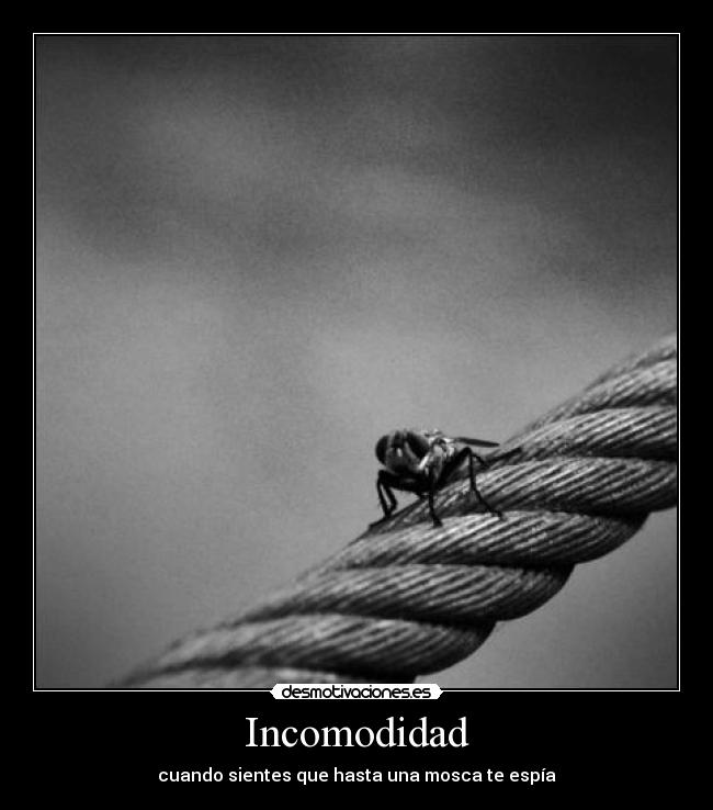 Incomodidad - 