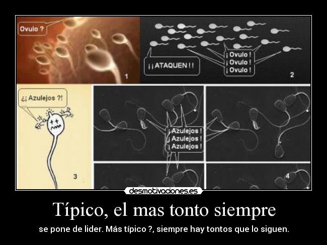 Típico, el mas tonto siempre -