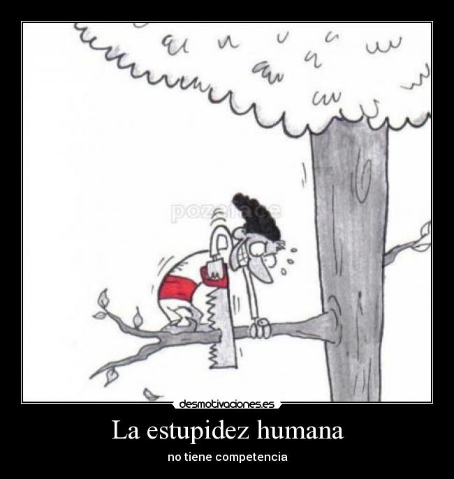 estupidez_1.jpg