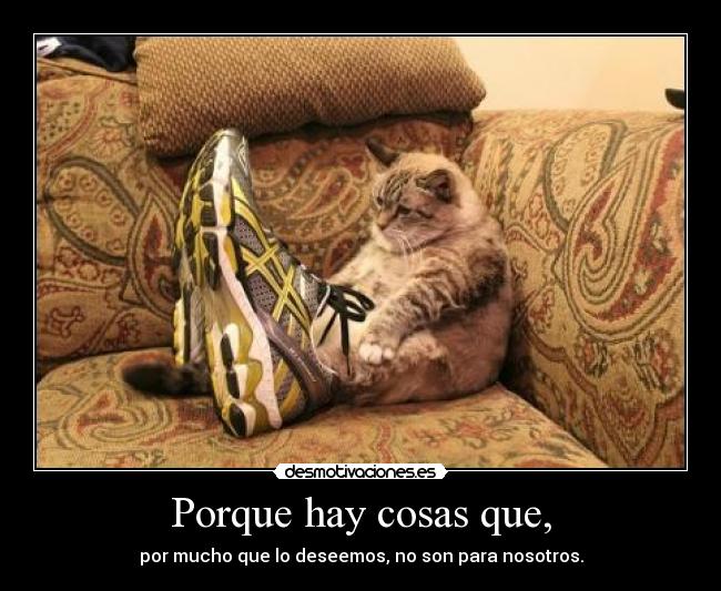 Porque hay cosas que, -