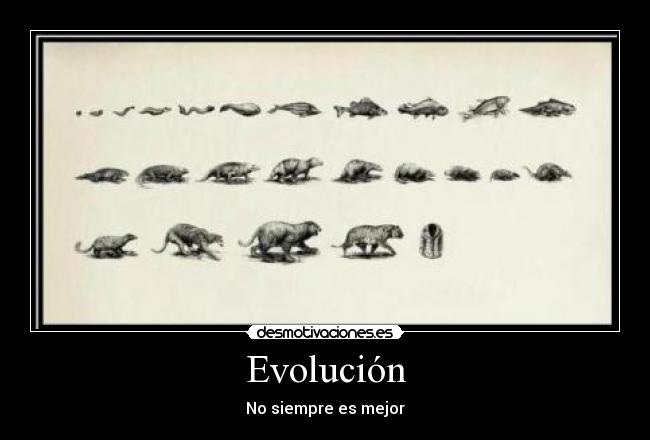 Evolución - 