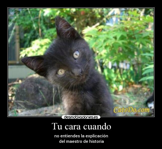 Tu cara cuando - no entiendes la explicación
 del maestro de historia