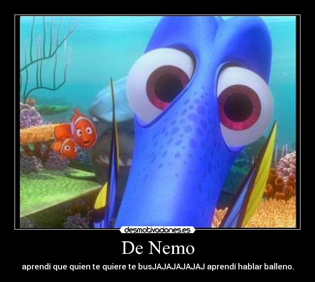 De Nemo - aprendí que quien te quiere te busJAJAJAJAJAJ aprendí hablar balleno.