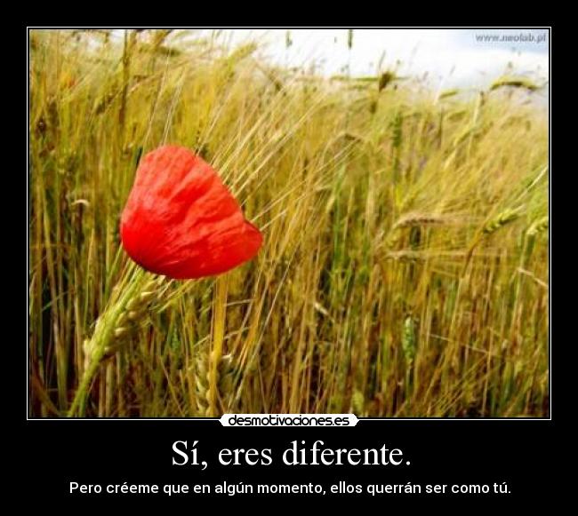 Sí, eres diferente. - 
