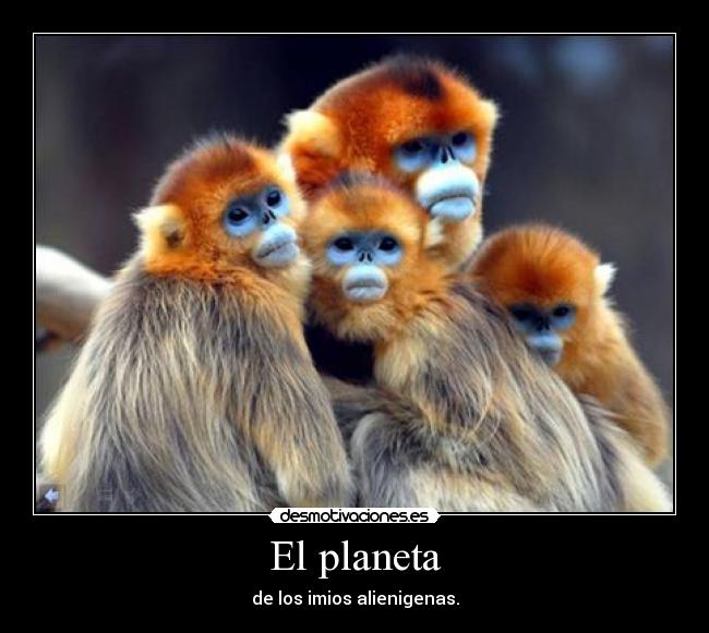 El planeta -