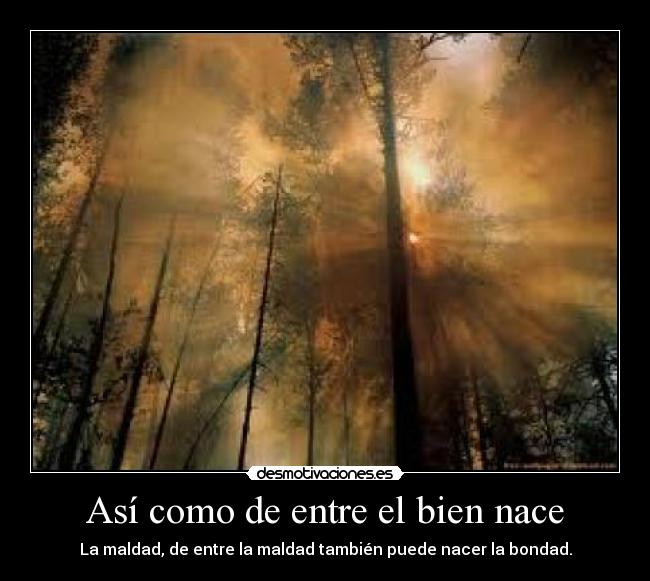 carteles awwww desmotivaciones