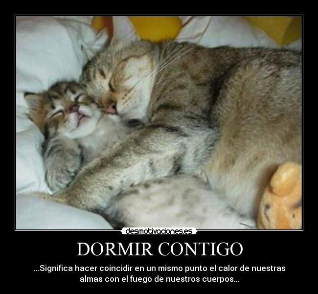 DORMIR CONTIGO Desmotivaciones