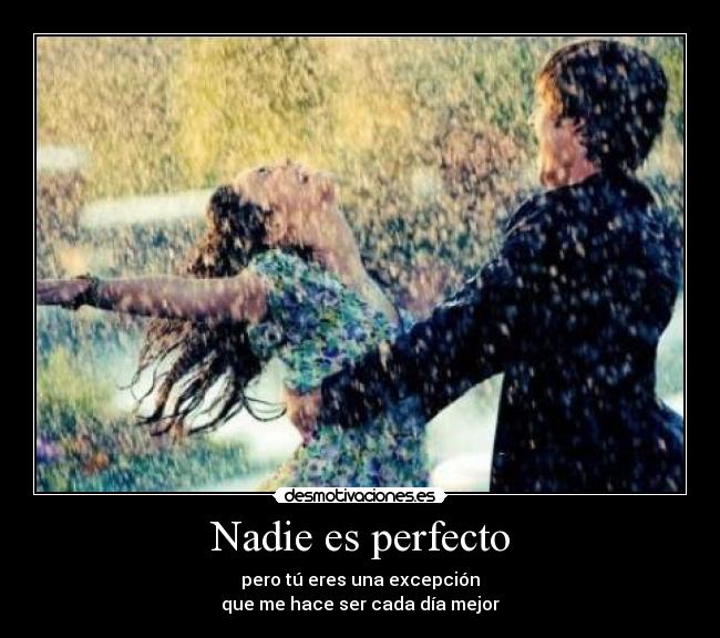 Nadie es perfecto -