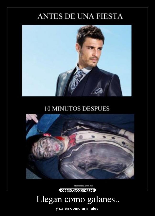 Llegan como galanes.. - y salen como animales.