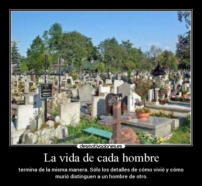 carteles vida vida desmotivaciones