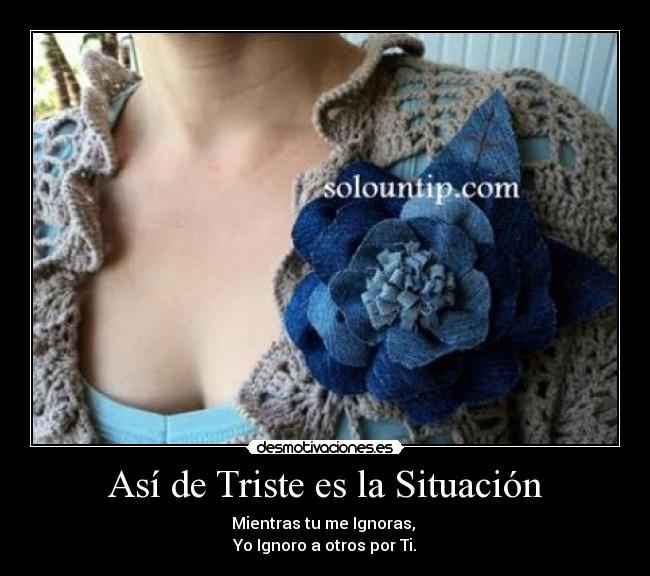 Así de Triste es la Situación - Mientras tu me Ignoras,
Yo Ignoro a otros por Ti.