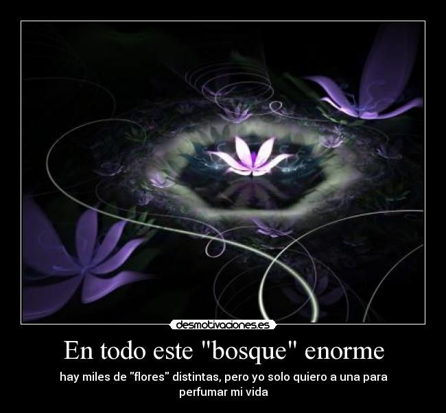 carteles clantriton addictive raptorhunters quiero perfume conmigo siempre desmotivaciones