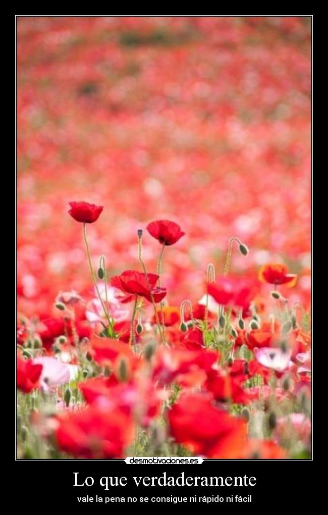 Lo que verdaderamente - vale la pena no se consigue ni rápido ni fácil