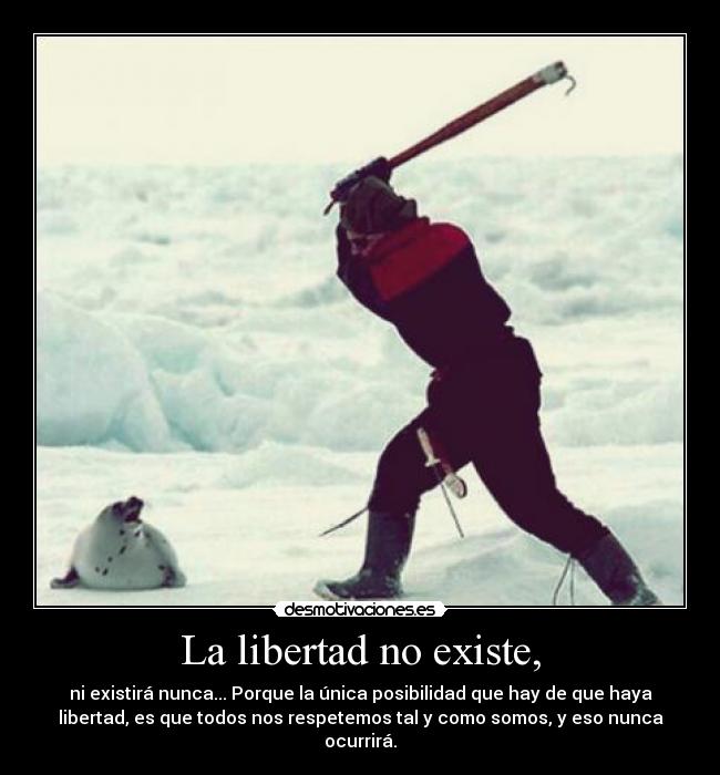 La libertad nunca existió y te muestro porque La libertad nunca existió y te muestro porque