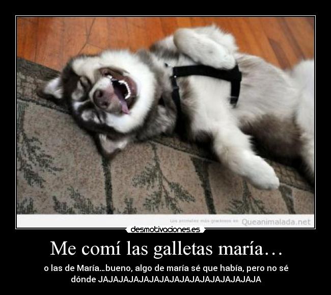 Me comí las galletas maría… - o las de María…bueno, algo de maría sé que había, pero no sé
dónde JAJAJAJAJAJAJAJAJAJAJAJAJAJAJAJA