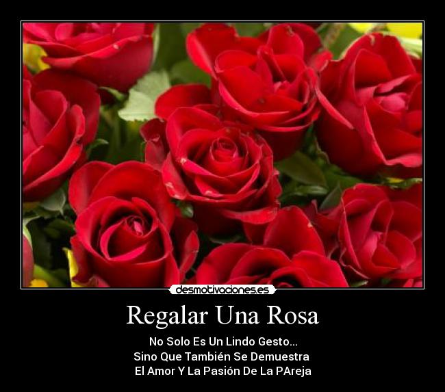Regalar Una Rosa -