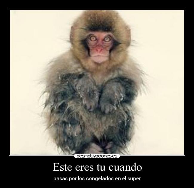 Este eres tu cuando - pasas por los congelados en el super