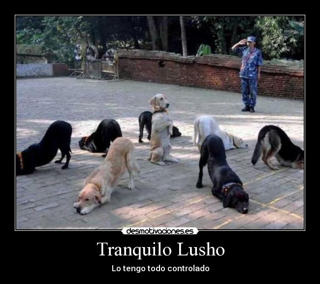 Tranquilo Lusho -