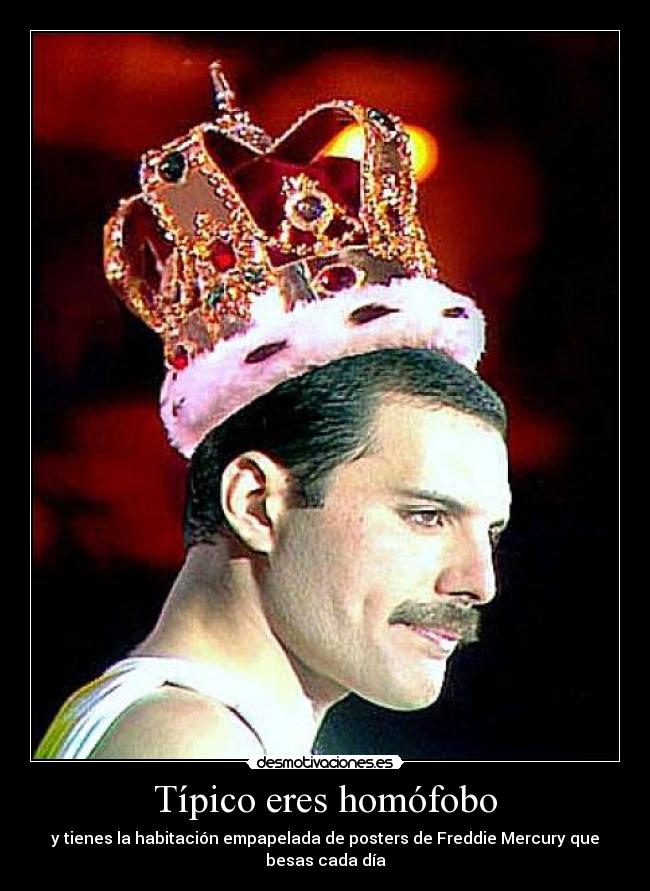 Típico eres homófobo -