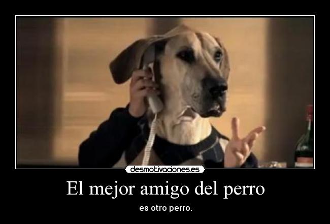 El mejor amigo del perro - es otro perro.