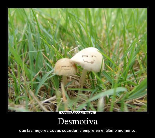 Desmotiva - 