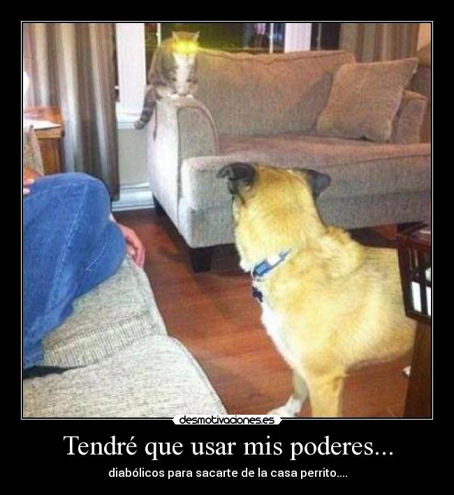 carteles gghg desmotivaciones