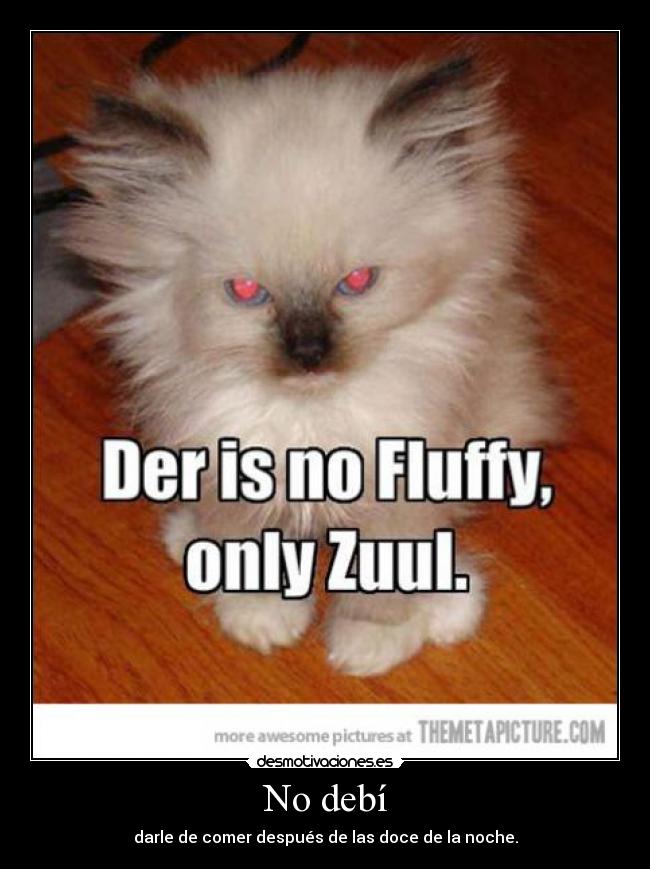 No debí - darle de comer después de las doce de la noche.