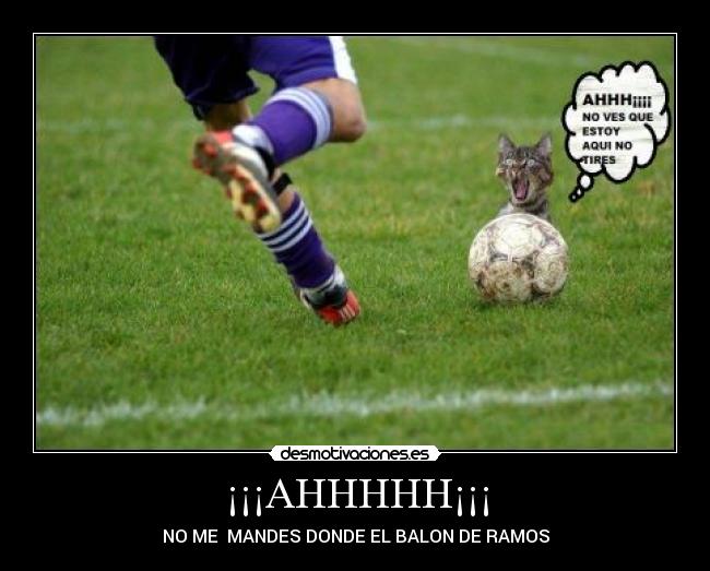 ¡¡¡AHHHHH¡¡¡ -