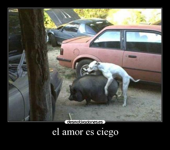 el amor es ciego -