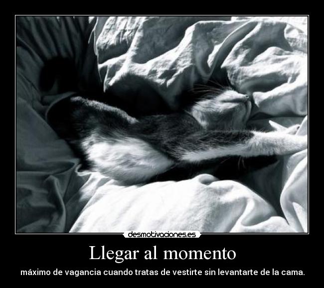 Llegar al momento - máximo de vagancia cuando tratas de vestirte sin levantarte de la cama.