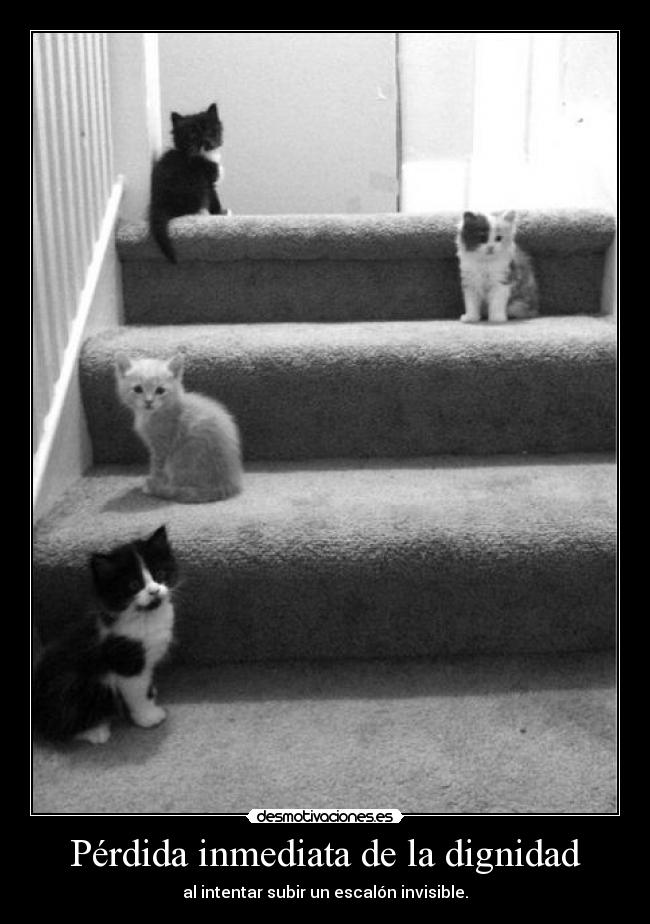 Pérdida inmediata de la dignidad - al intentar subir un escalón invisible.