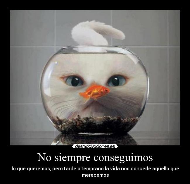 No siempre conseguimos - lo que queremos, pero tarde o temprano la vida nos concede aquello que merecemos